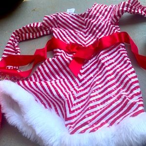 Santa dress